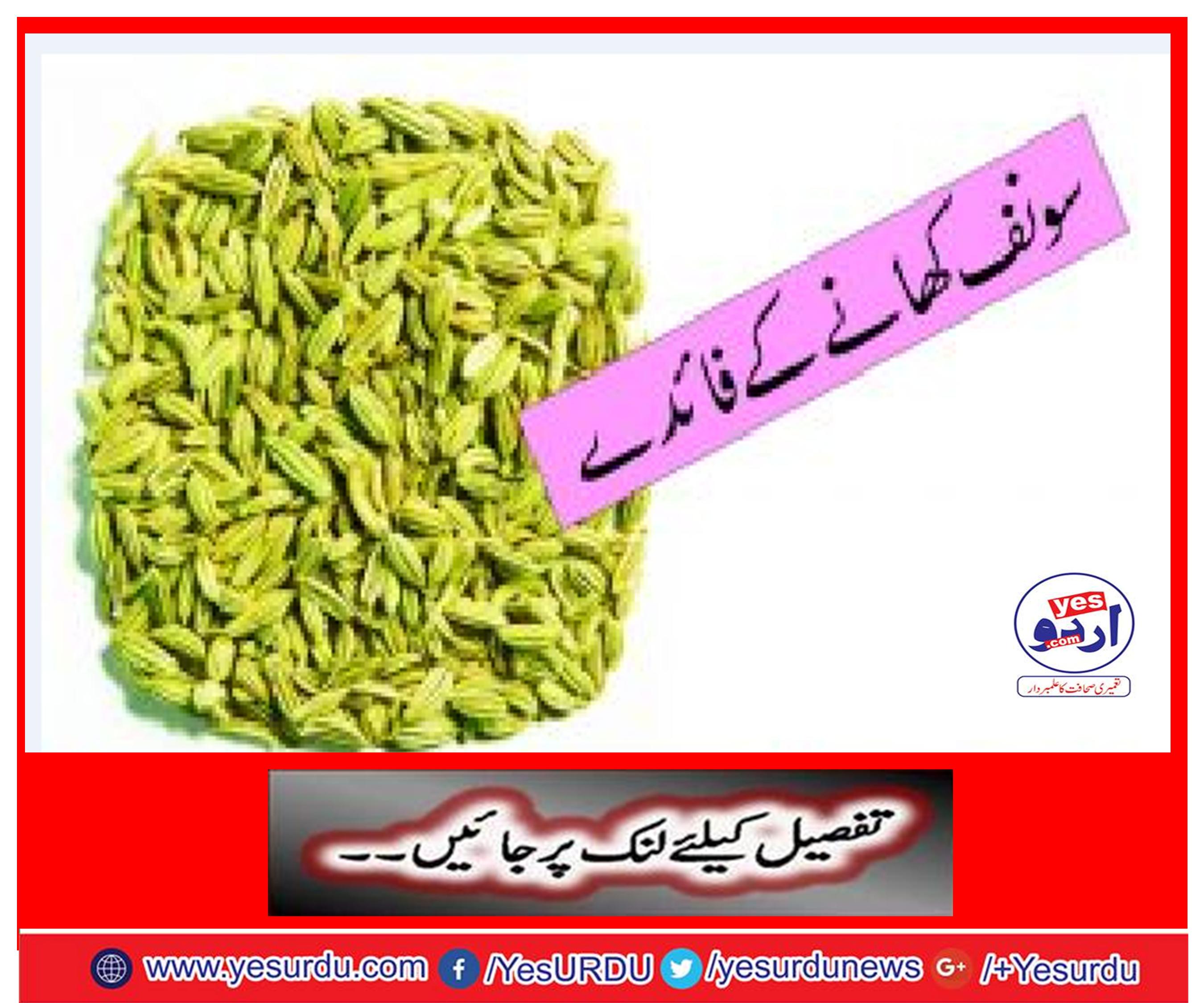 Benefits of Fennel Seeds