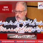 Demand is not allowed to investigate internationally murder of Jamal Khashashjee