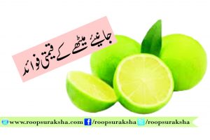 Precious benefits of donkeys