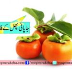 Japanese fruit benefits