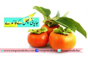 Japanese fruit benefits