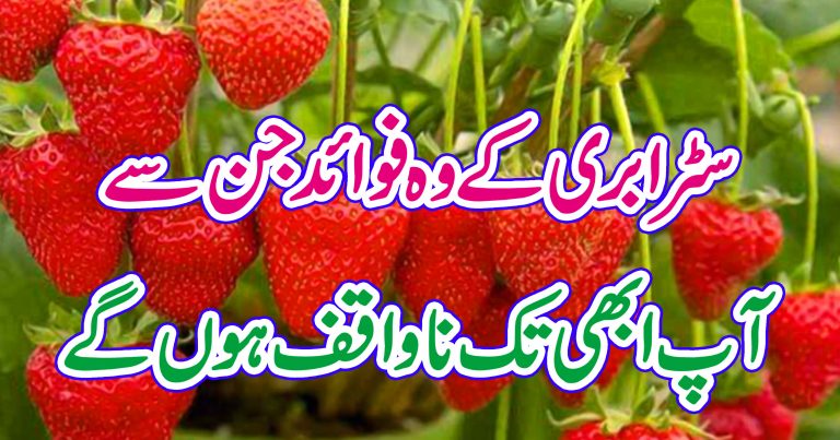 سٹرابری کے وہ فوائد جن سے آپ ابھی تک ناواقف ہوں گے