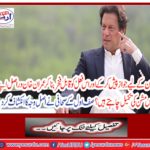 Zulfiqar's journalist revealed the cause