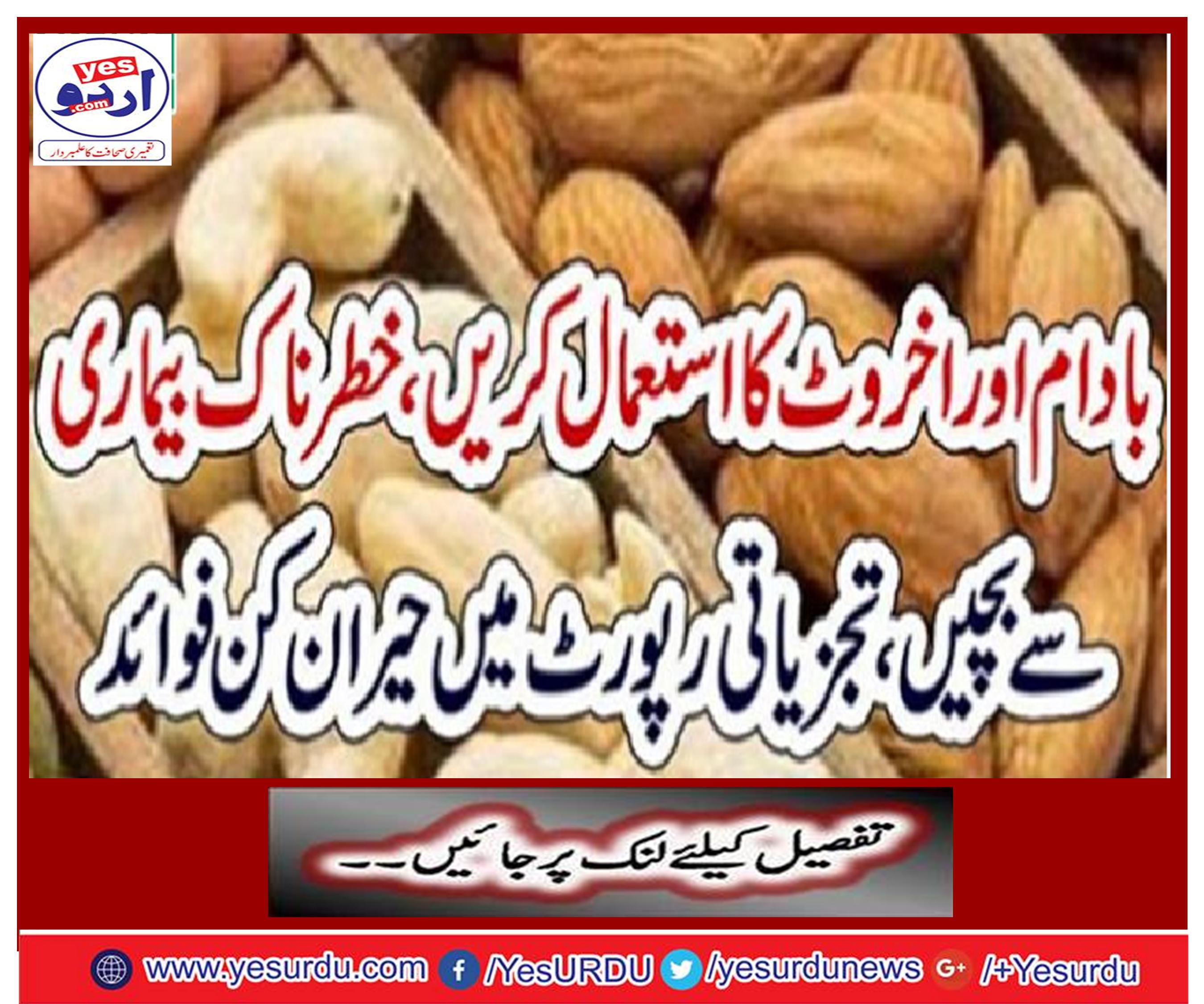 Use almond and walnut, avoid dangerous disease, surprises in analytical reports