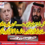 "Now I am from the Saudi Worship ..." Rizb Tayyip Erdogan decided that in Arab countries