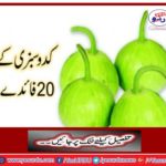 20 Benefits of Pumpkin Vegetable 20 Benefits of Pudding Vegetables