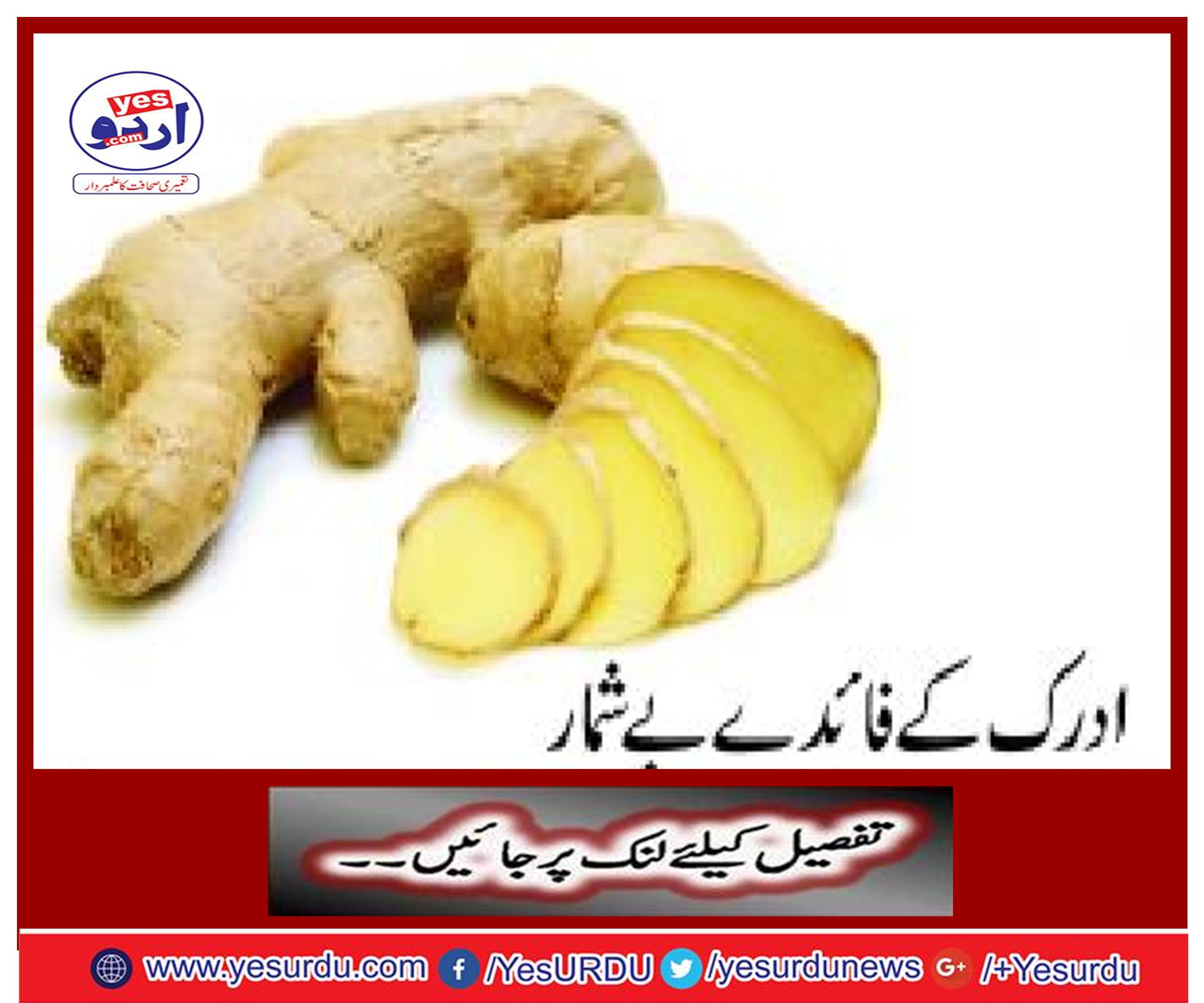 Ginger is very useful