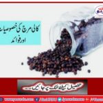 Features and advantages of pepper
