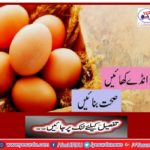 Eat Eggs Health