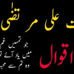 Hazrat Ali (may Allaah be pleased with him) said: If you remember the intensity of grief, then understand that he loves you