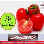 Tomato benefits