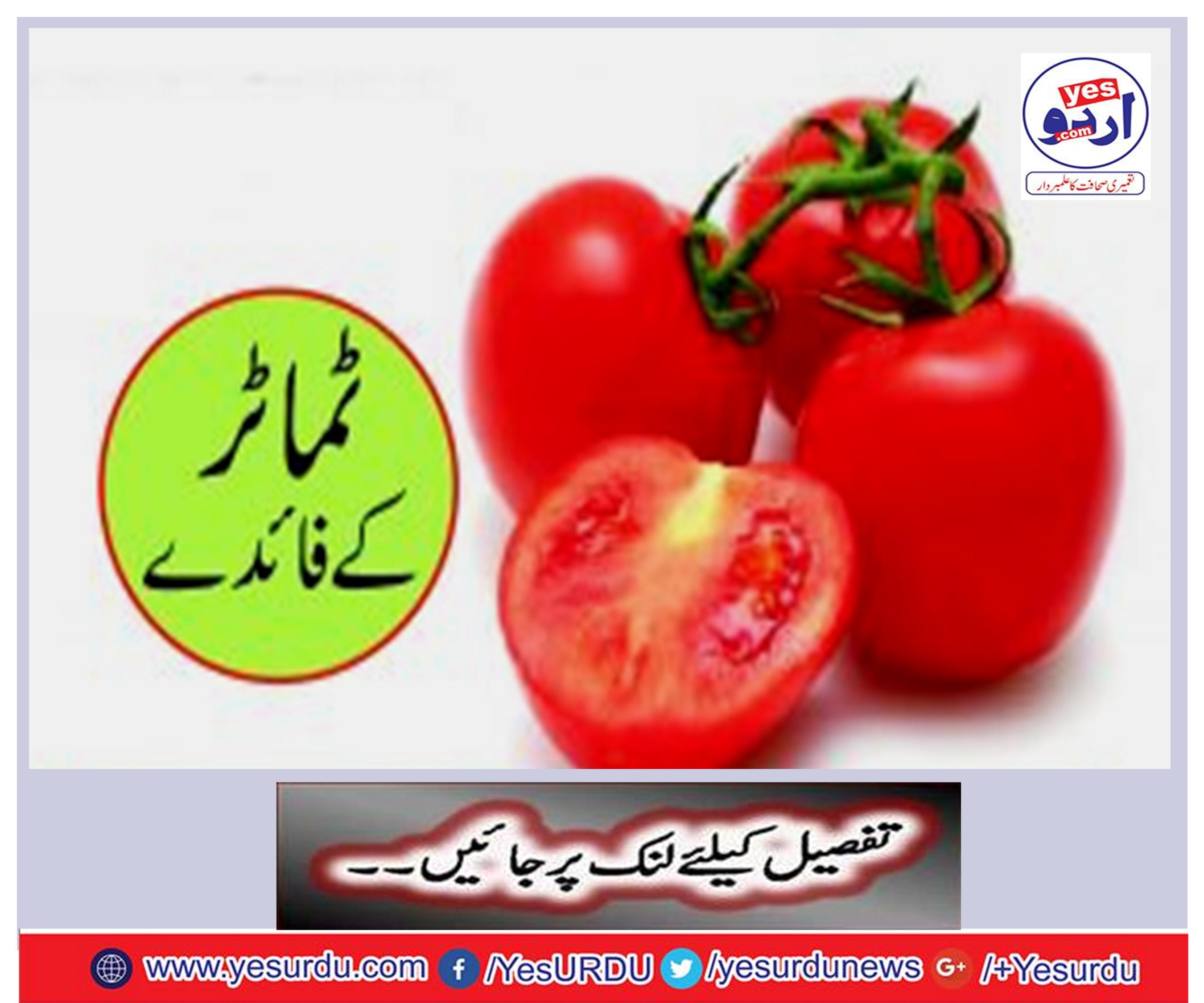 Tomato benefits