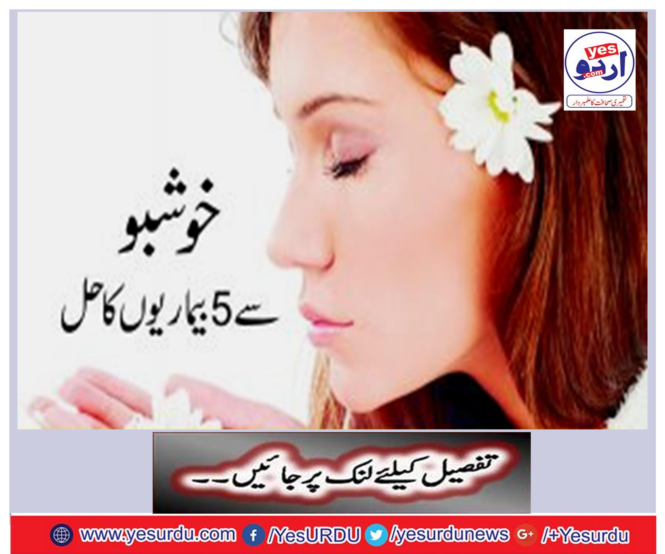Easy solution to the diseases from the drainage