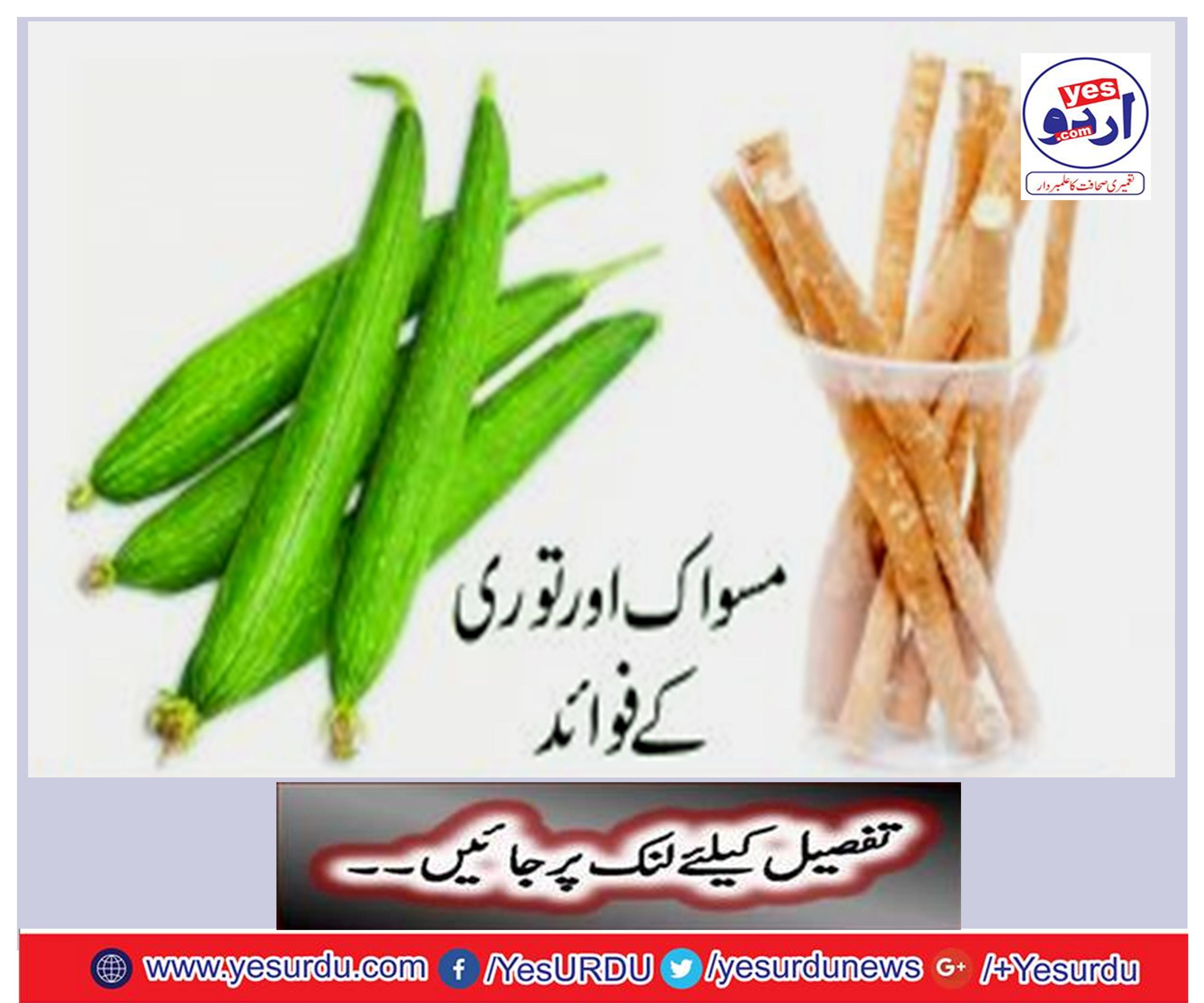 Benefits of Masuk and Tori