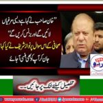 Desi chickens will bring and will do business