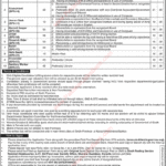 Sindh, Revenue, Board, Jobs, November, 2018, Karachi, STS, Application, Form, Appellate, Tribunal, Latest
