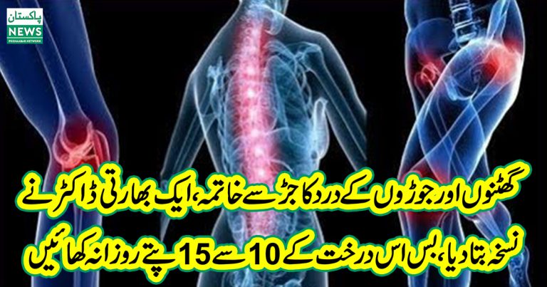 With the root of knees and joint pain,