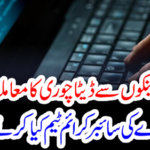 What is FIA's Cyber ​​Crime Team?