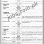 PPHI Sindh Jobs 2018 for 100+ IT, Store Managers, EPI, Staff Nurses, Medical & Support Staff (Multiple Cities)