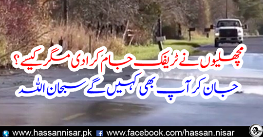 You will also say that Subhan Allah