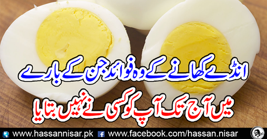 The benefits of eating eggs about which you have not told anyone till today