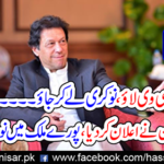 'Going to inaugurate the project, the unemployed youth will be given jobs abroad and abroad.