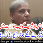 Former Chief Minister Shahbaz Sharif has started getting cold in NAB references