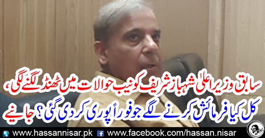 Former Chief Minister Shahbaz Sharif has started getting cold in NAB references