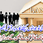 The government started a business plan for the youth of Punjab.....