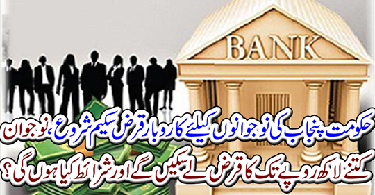 The government started a business plan for the youth of Punjab.....