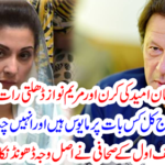 Zulfiqar's journalist found the real reason