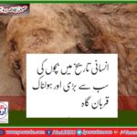 BIGGEST, CHILDREN, BUTCHER, CENTRE, OF, THE, WORLD