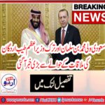TAYYAB ERDGON, MEET, WITH, WALI AHD, PRINCE, MUHAMMAD BIN SALMAN