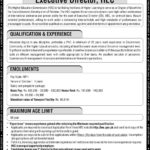 HEC Islamabad Jobs 2018 for Executive Director / Management Post 13 November, 2018