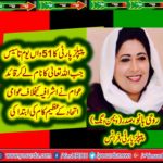 ROOHI BANO, PRESIDENT, PPP, WOMEN, WING, FRANCE, ON, 51ST, FOUNDATION, DAY, OF, PEOPLES, PARY, PAKISTAN