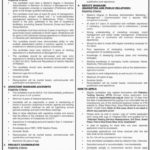 Sindh Govt Public Sector Organization Jobs 2018 for Project Coordinator, Accounts, PR & Management Posts (Download PTS Form) 12 November, 2018