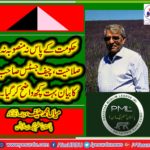MIAN MUHAMMAD HANIF, CHIEF EXECUTIVE, PMLN, FRANCE, ON, BAD, GOVERNANCE, AND, PAKISTAN, SITUATION, AFTER, 100, DAYS
