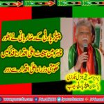 Pervez Siddiqui، information, secretary, ppp, europe