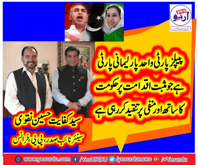 Syed Kifayat Hussain Naqvi, vice President, PPP, France, says, PPP, the, only, party, to, follow, salient, rules, of, democracy