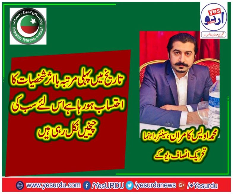 Muhammad Awais Kamran, Senior Leader, PTI, UK