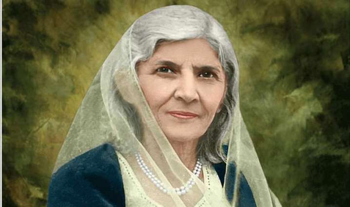 WHAT, FATIMA JINNAH, HAVE, HER, VIEWS, ABOUT, AYUB KHAN