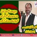 SYED KIFAYAT HUSSAIN NAQVI, SENIOR, VICE PRESIDENT, PPP, FRANCE