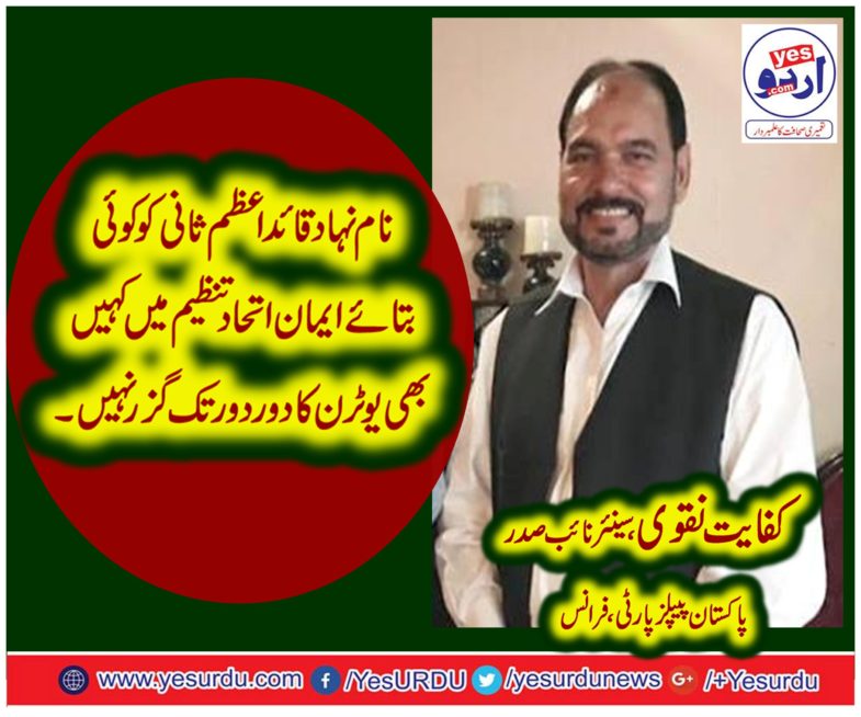 SYED KIFAYAT HUSSAIN NAQVI, SENIOR, VICE PRESIDENT, PPP, FRANCE