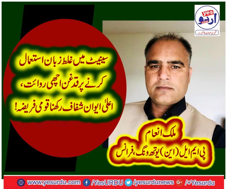 MALIK INAM, INFORMATION, SECRETARY, PMLN, YOUTH WING, FRANCE