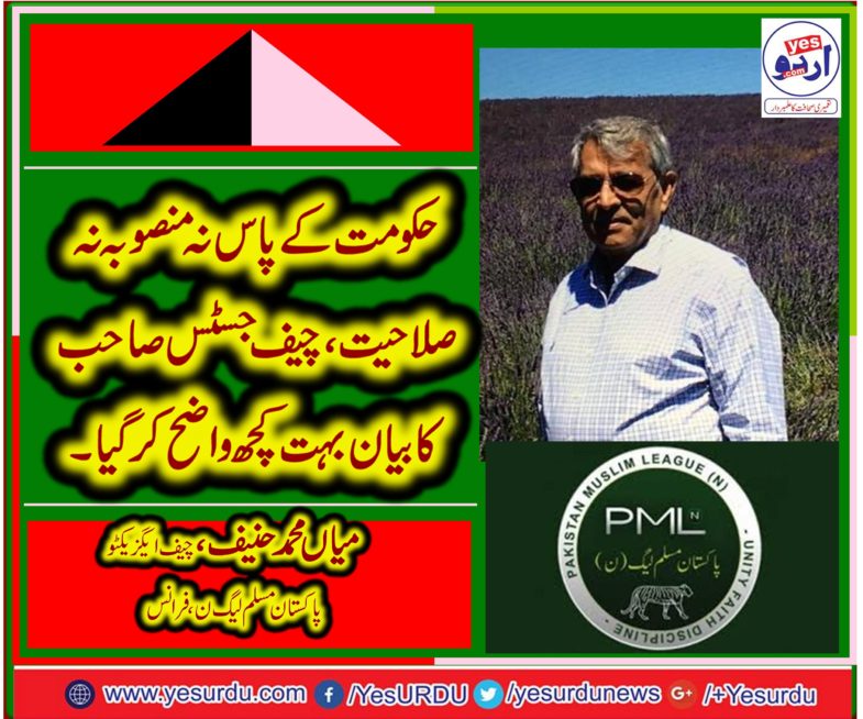 mian muhammad hanifM CHIEF EXECUTIVE, PMLN, FRANCE