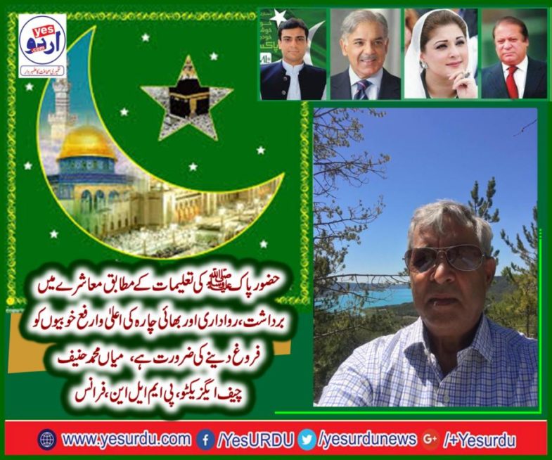 mian muhammad hanif, chief executive, PMLN, France