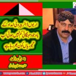 nasir ali ranjha, senior, leader, ppp, italy