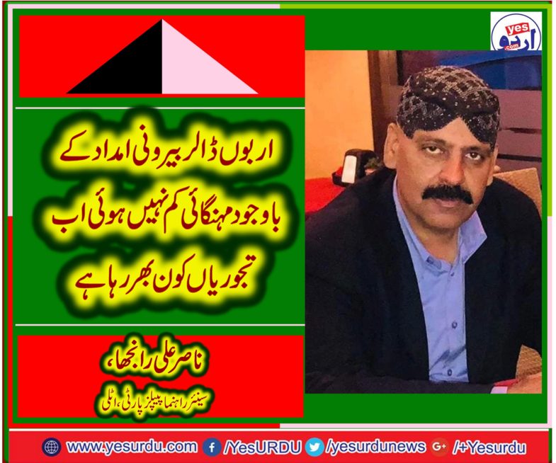 nasir ali ranjha, senior, leader, ppp, italy