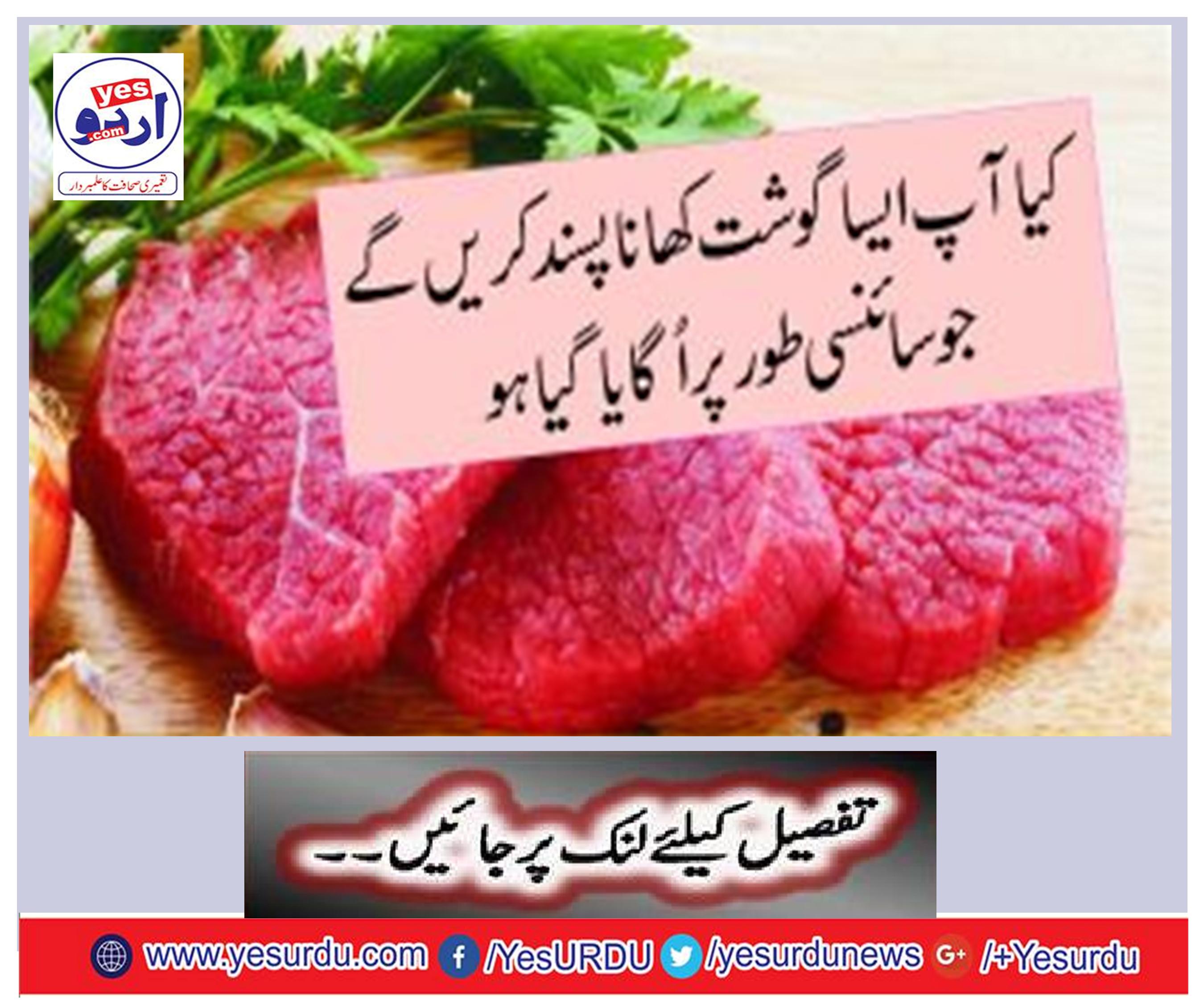 Would you like to eat a meat that is scientifically accumulated?