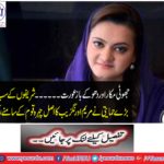 False and deceiving woman ...... The biggest support of the Sharifs kept Mary Aurangzeb's real face in front of the nation